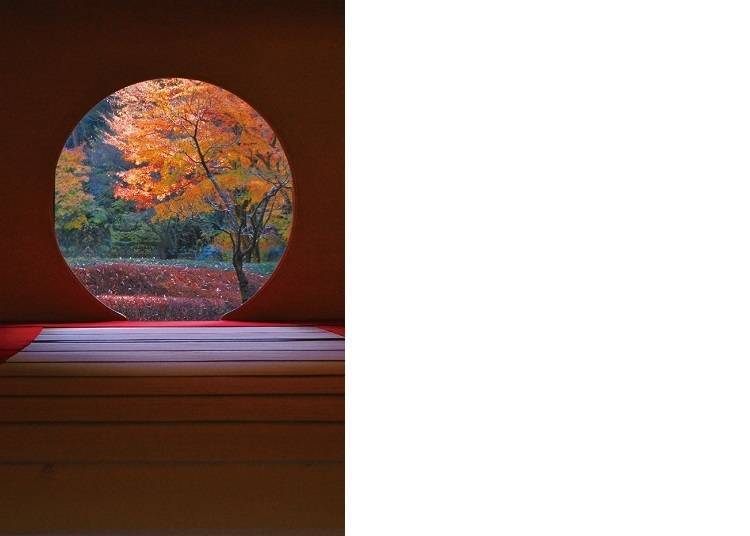 ▲ The colors of autumn, seen through the circular window.