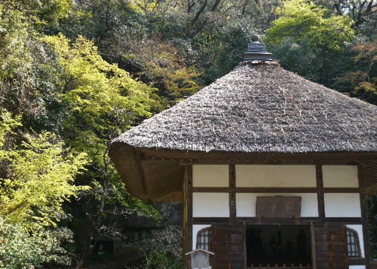 Kaisandō, Where Time Flows Slowly