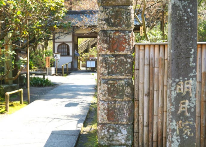 漫遊古都 鎌倉走訪 紫陽花寺 明月院 Live Japan 日本旅遊 文化體驗導覽