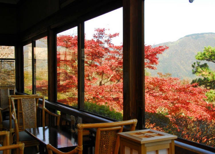 Relaxing Rooms with a Stunning Sky View