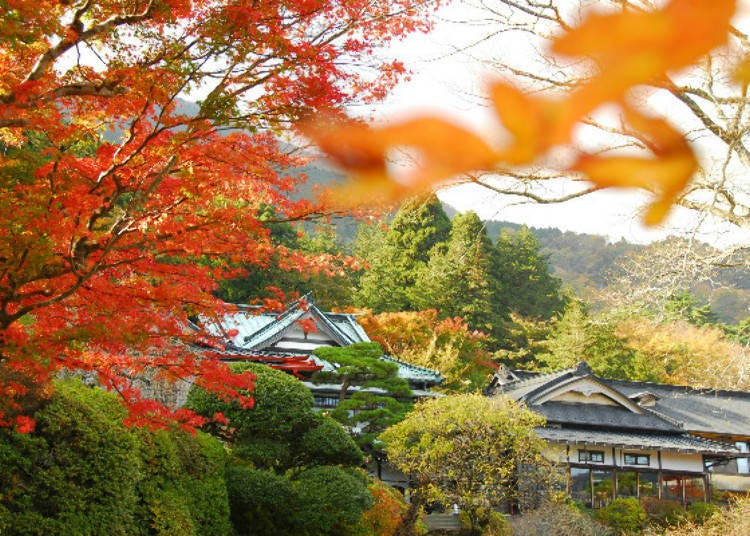 Staying at a 130-Year Old Hotel Amidst Hakone’s Rich Scenery