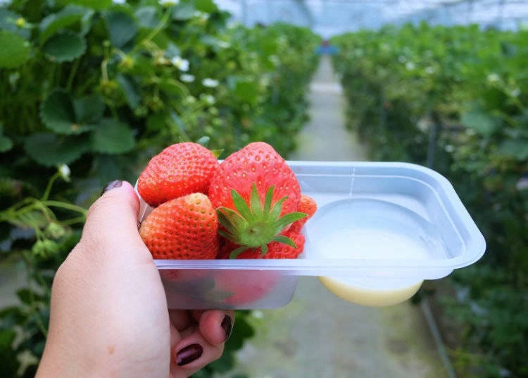 How to Eat Your Strawberries