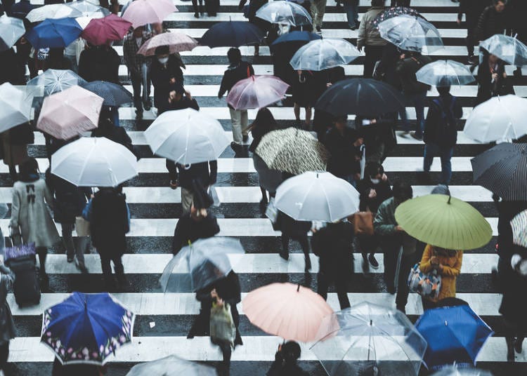 ★注意★東京的初夏是雨季，出門時別忘了帶雨傘！