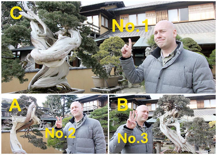 This is Timothy’s Top Bonsai Pick!