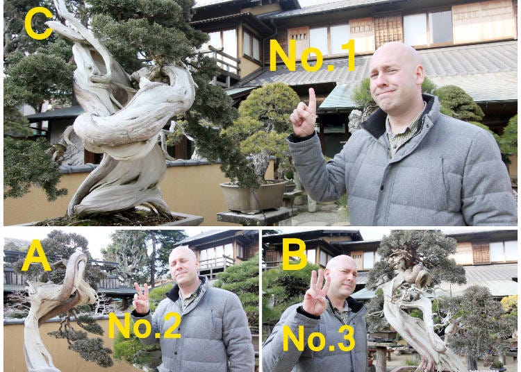 ティモシーが選んだ順番はこちら!