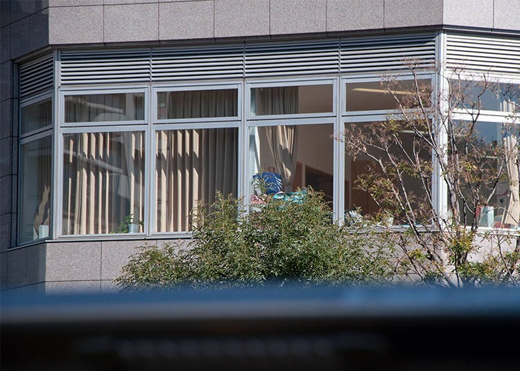 The second floor of an office building, The blinds are only partially closed, so you’ll get to peek inside.