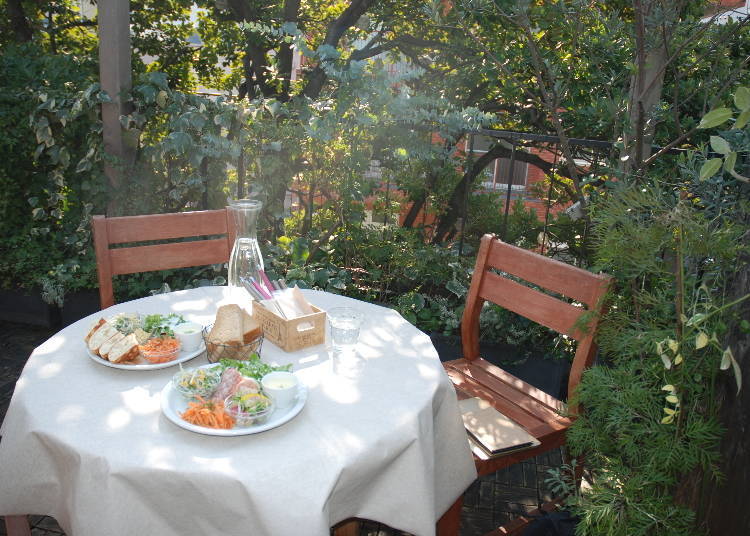 在花草間品味芬芳！東京廣尾花草系樹屋咖啡廳「Les Grands Arbres」