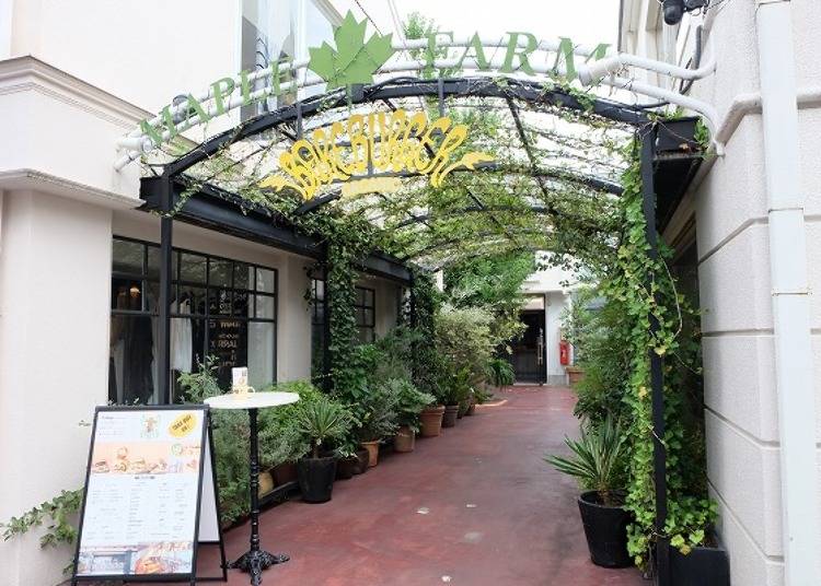 門口設有被圍籬植物纏繞的綠色拱門，清新又自然的風格讓人看不出是間漢堡店。