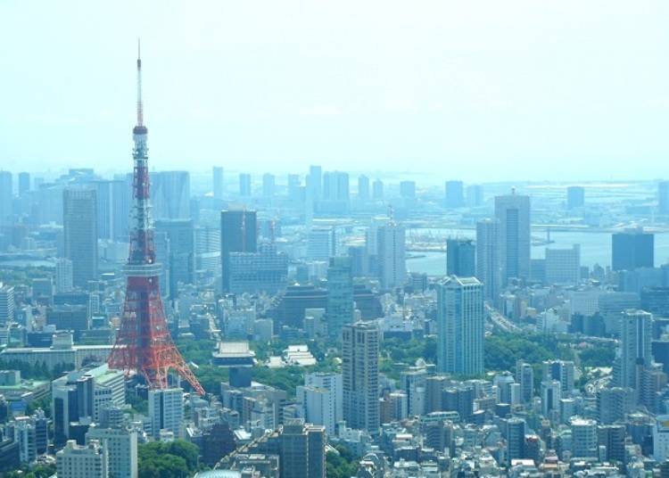 다양한 높이의 건물들이 빼곡한 도쿄의 풍경은 사뭇 서울과는 다르다.