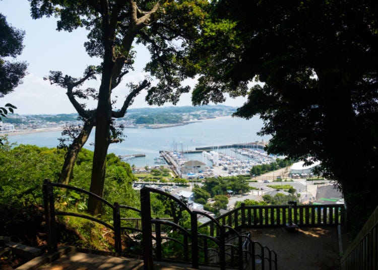 The Enoshima Yacht Harbor with its many boats is a beautiful sight.