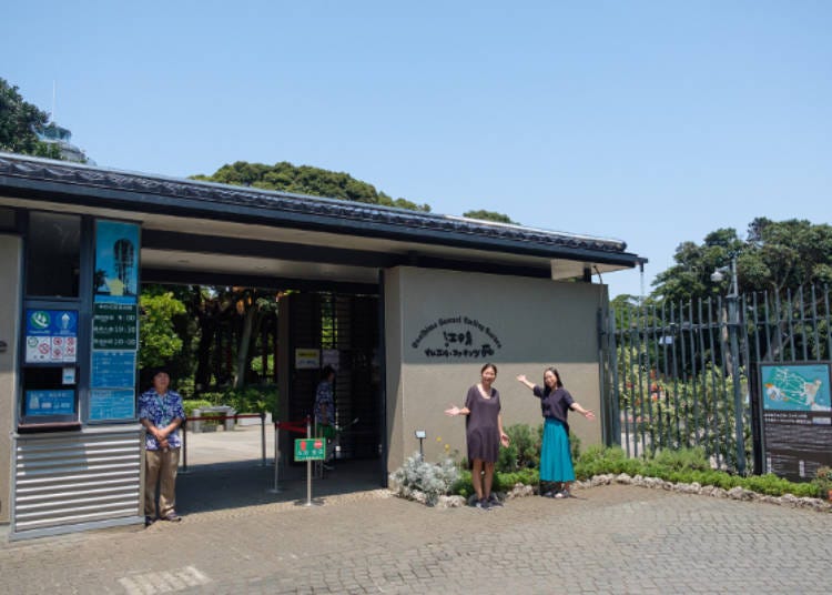 The staff at the entrance tells you what plants are in season.