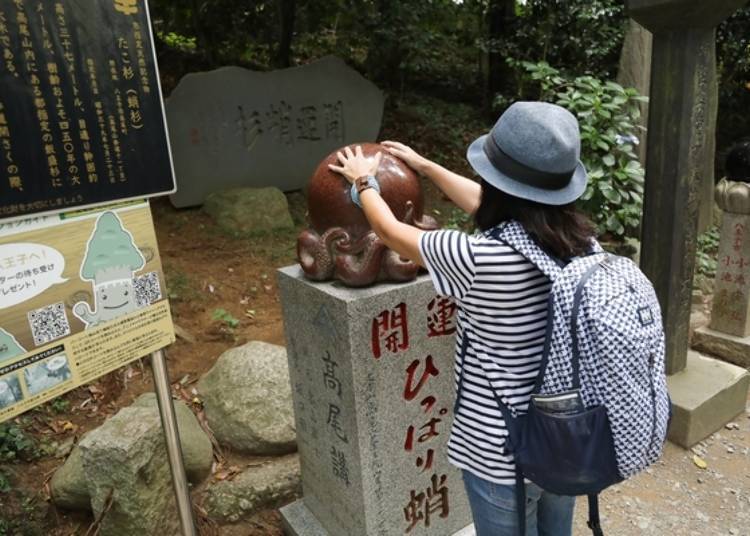 高尾山一日遊 絕景 美食 溫泉等 樂趣滿滿 Live Japan 日本旅遊 文化體驗導覽