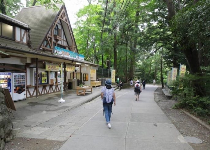 高尾山一日遊 絕景 美食 溫泉等 樂趣滿滿 Live Japan 日本旅遊 文化體驗導覽