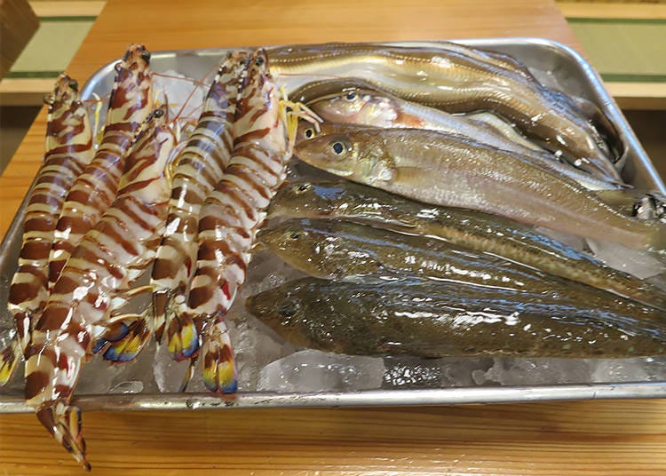Freshly delivered Japanese tiger prawns (on the left), as well as conger eel, whiting, and big-eyed flathead.