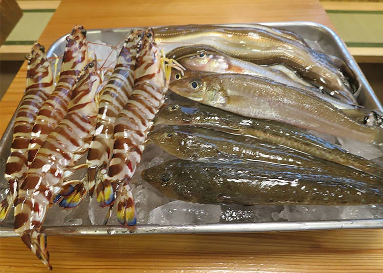 左邊是天然的車蝦，右邊上至下是穴子魚、鱚魚、大眼鯒