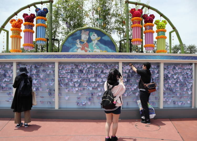 TDL/ Wishes Do Come True! Make a Wish at the Wishing Place!