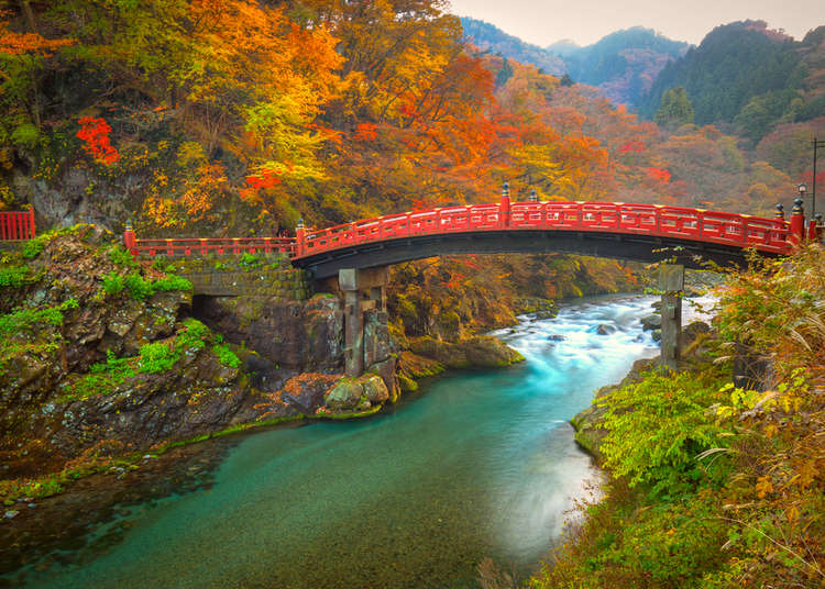 [MOVIE] Beautiful Nikko! Must-See Spots to Discover Japan’s Nature, History, and Culture