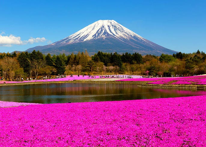 11 Secrets About Mt Fuji The Symbol Of Japan Even Japanese People Don T Know That Live Japan Travel Guide
