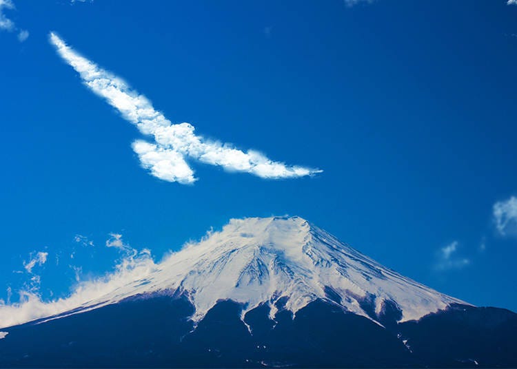 Mount Fuji and hawk