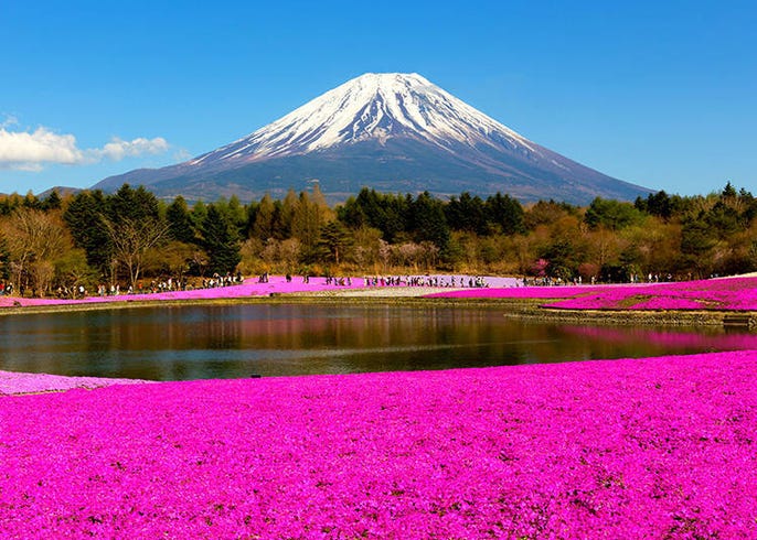 赤富士 鑽石富士是什麼 10個讓你更認識富士山的小秘密 Live Japan 日本旅遊 文化體驗導覽