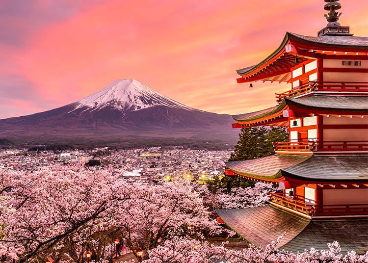 櫻花與富士山