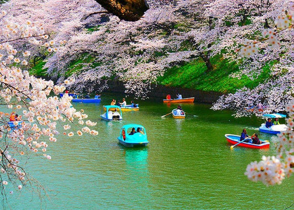 best city to visit in japan in april