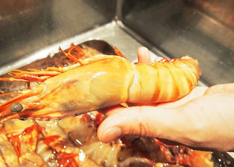 漂亮的紅色外殼，蝦子的味道也會就濃郁，用在「榆」（楡，5500日圓）、「春榆」（春楡，4300日圓）價位較高的套餐中