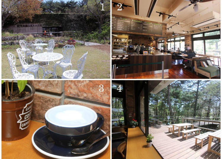 1) The café is surrounded by trees 2) try the coffee specialties 3) the blue Nemophila Blue Latte (limited) 4) relax at the counter or outside in the sun.