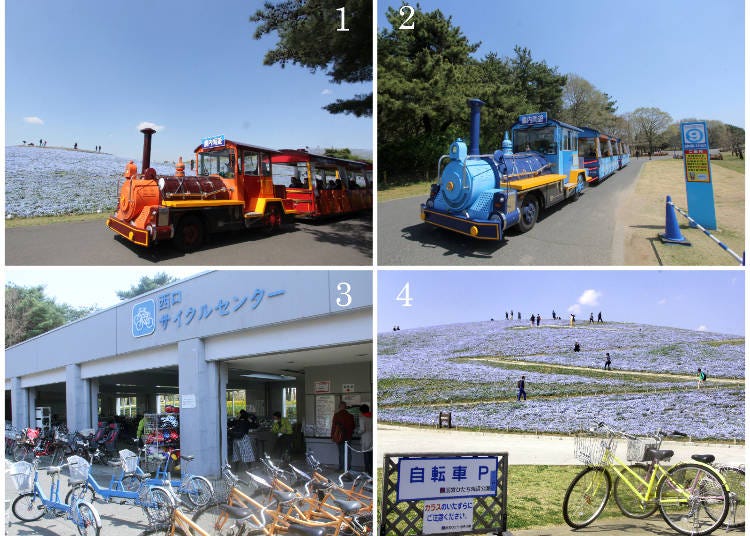 1) The Seaside Train 2) there are 10 stations throughout the park 3) the cycle center offers rental bicycles 4) Nemophila (the South Entrance is only open on Saturdays, Sundays, and national holidays)