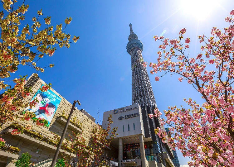 Inside Tokyo Skytree: Introducing Solamachi