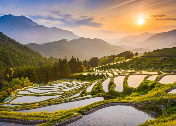 世界が認める日本の観光地だけど 外国人が嫌いな街 好きな街は結局どこ Live Japan 日本の旅行 観光 体験ガイド