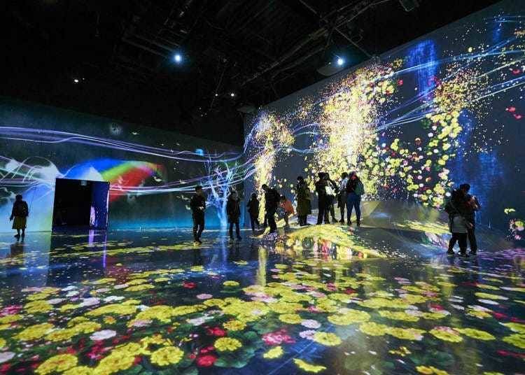 teamLab Planets TOKYO (Photo: from https://livejapan.com/en/article-a0004999/)