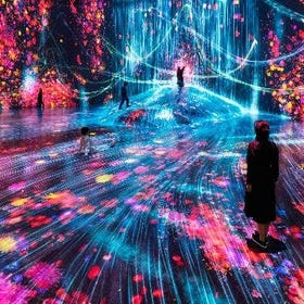 teamLab Borderless: MORI Building DIGITAL ART MUSEUM (Roppongi Area)