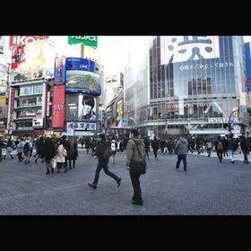 시부야스크럼불교차점