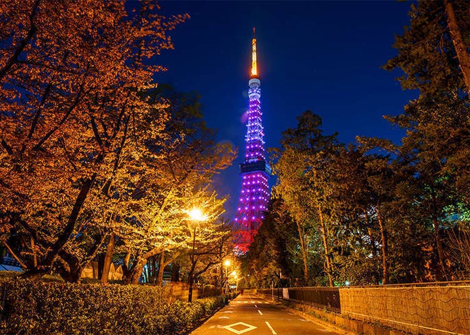 想要零死角捕捉東京鐵塔vs 東京晴空塔嗎 絕佳ig打卡私房秘境 Live Japan 日本旅遊 文化體驗導覽