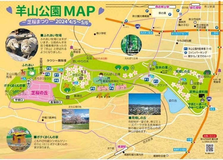 徹底ルポ1！こんなに広い！それぞれのエリアから見られる芝桜徹底紹介！