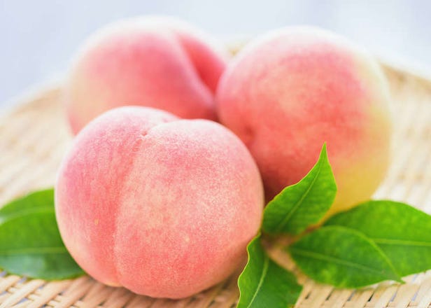 日本水蜜桃怎么吃？种类、售价、挑选＆保存方法、推荐食谱大公开！