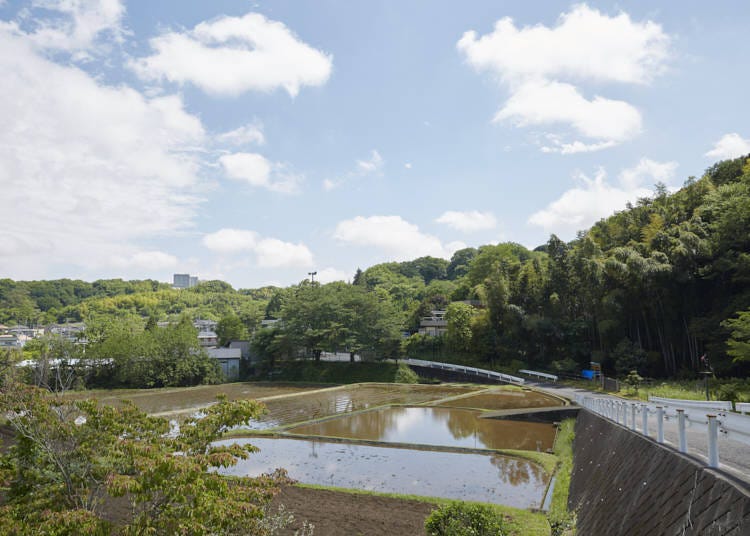 【絹の道資料館】／鑓水商人の歴史を知り、幕末から始まった八王子と海外各国との交流を学ぶ