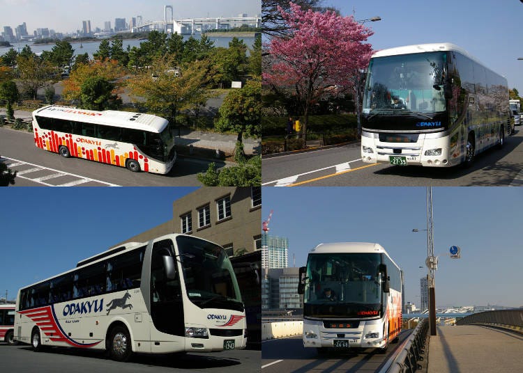 Odakyu Bus