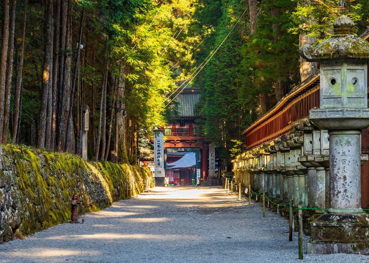 Nikko (Image: PIXTA)