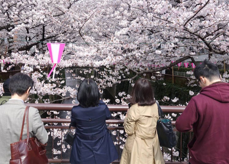 11. 中目黑（東京西側，河濱與咖啡文化）