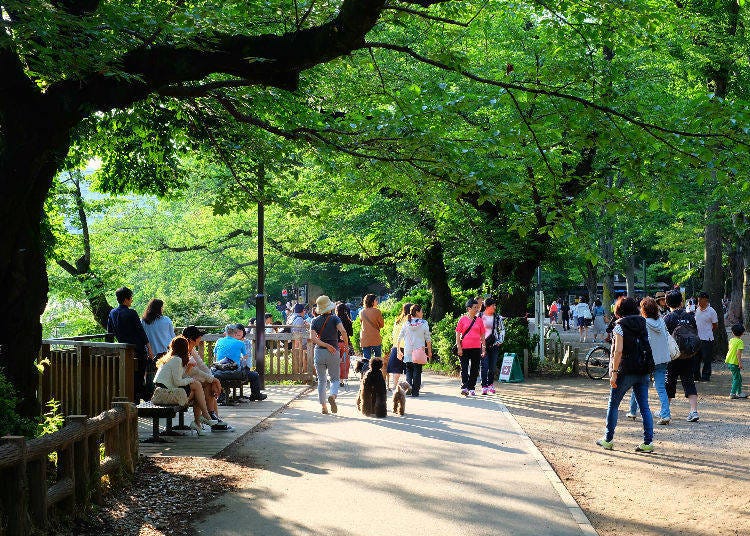 12. 吉祥寺（東京西側，公園和日常生活）