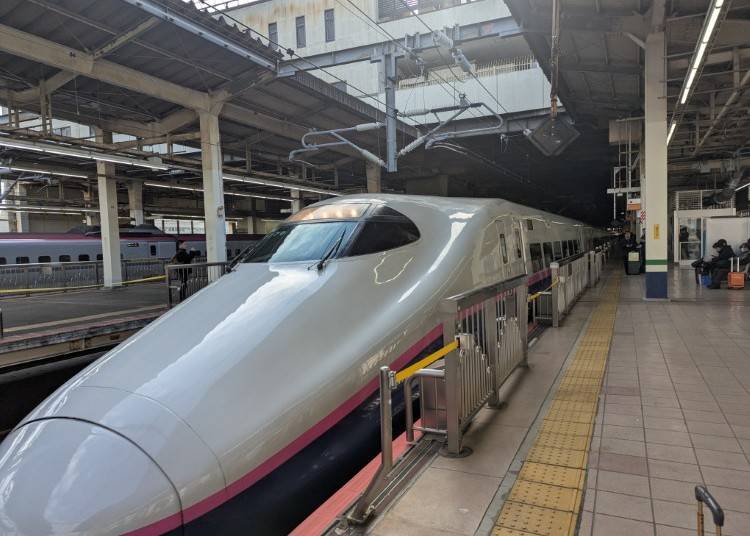 Shinkansen (Bullet Trains)