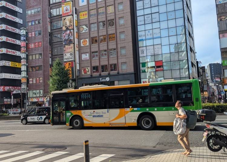 Local Buses (City Buses)