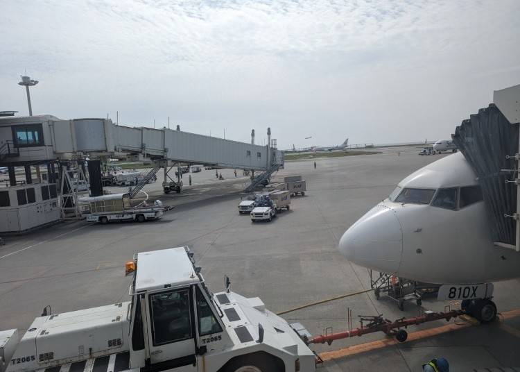 3. Shipping Your Luggage
