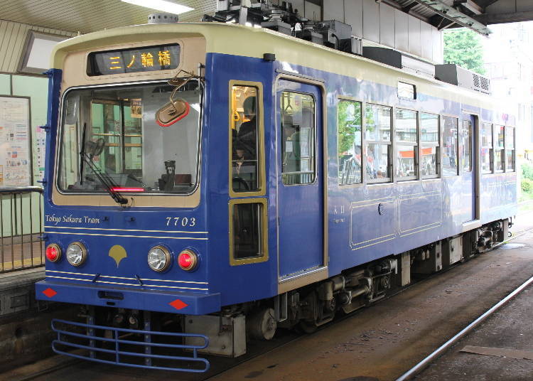 What is the Tokyo Sakura Tram?