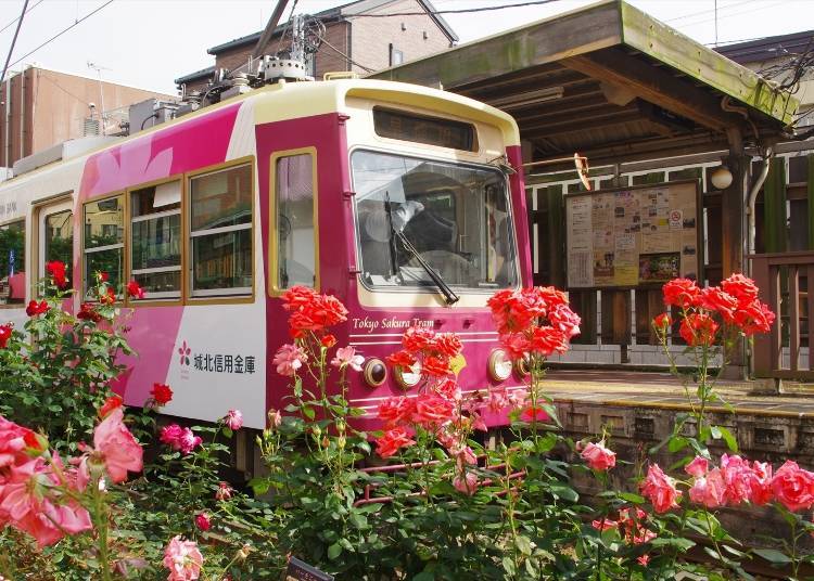 Rose Viewing Spot #1: Retro Minowabashi Station
