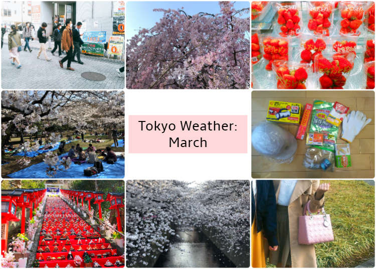 What's the weather like in Tokyo in March? LIVE JAPAN travel guide