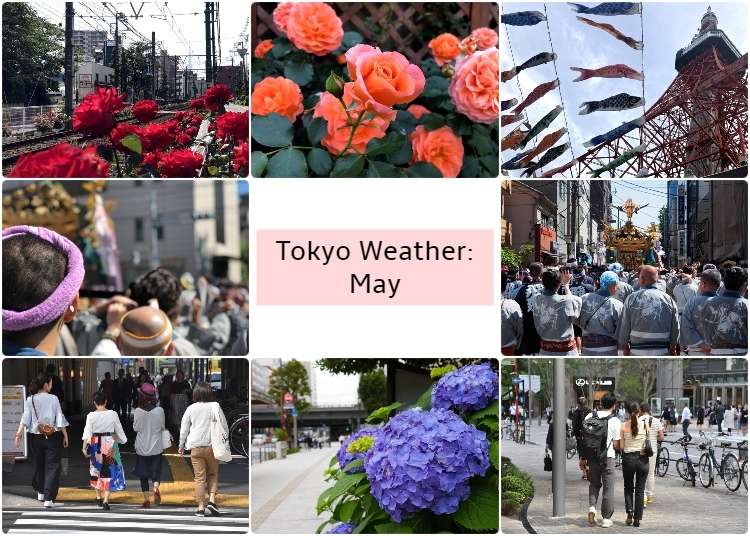 What's the weather like in Tokyo in May?