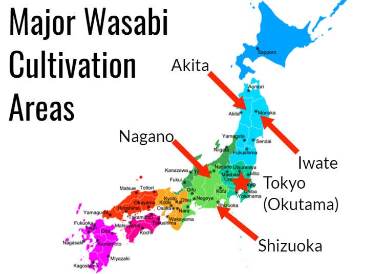 Where is Wasabi Grown in Japan?